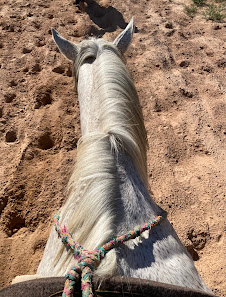 Wild West Horseback Adventures thumb 5